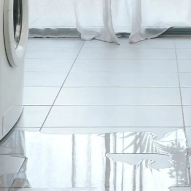 Appliance Leak Cleanup in Port Orchard, WA