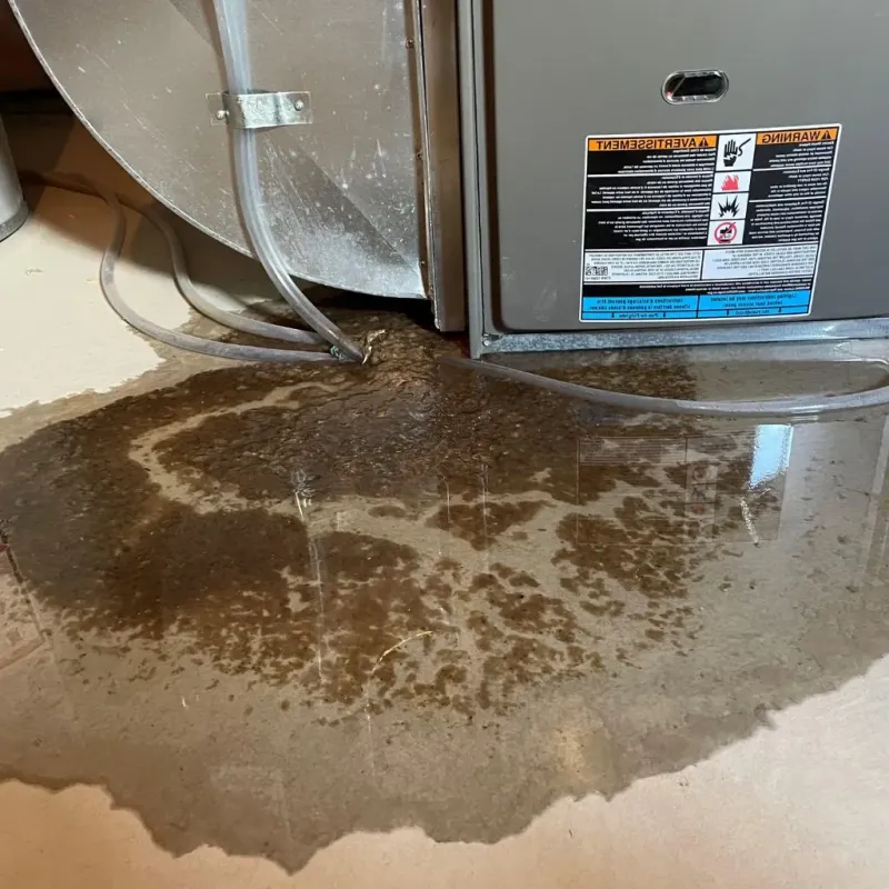 Pipe Burst and Leak Restoration in Port Orchard, WA